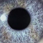 Moontower-Reissue-Deluxe-2CD-in-OCard-12-CD