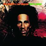 NATTY-DREADVINYL180GDC-6440-Vinyl