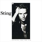 NOTHING-LIKE-THE-SUNVINYL180GR-8038-Vinyl