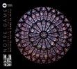 Notre-Dame-cathedrale-demotions-235-CD