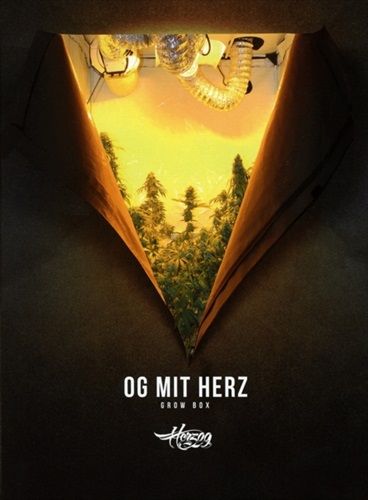 Jetzt bestellen!