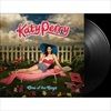 ONE-OF-THE-BOYS-15TH-ANNIVERSARY-VINYL-22-Vinyl