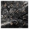 OPEN-HEART-STORY-2092-CD