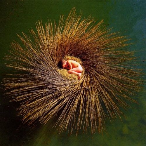 commandez maintenant!