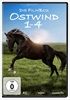 Ostwind-14-1953-DVD-D