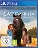 Ostwind-Ein-unerwartetes-Abenteuer-PS4-D