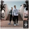 PALMEN-AUS-PLASTIK-CD-7969-CD
