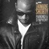 PARKING-LOT-SYMPHONY-6542-Vinyl
