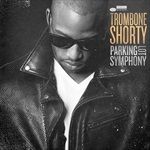 PARKING-LOT-SYMPHONY-6542-Vinyl