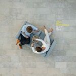 PEACE-OR-LOVE-VINYL-15-Vinyl