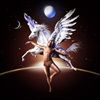 PEGASUS-19-CD