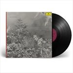 PENDANT-WORLD-3-Vinyl