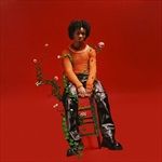 PETALS-TO-THORNS-VINYL-29-Vinyl