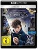 PHANTASTISCHE-TIERWESEN-UND-WO-SIE-ZU-FINDEN-SIND-423-4K-D