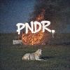 PNDR-19-CD