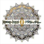 PREVAIL-I-573-CD