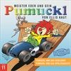 PUMUCKLFOLGE-11-4355-CD