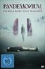 Pandemonium-Die-Hoelle-kennt-keine-Vergebung-DVD-D