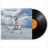 Panorama-16-Vinyl