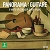 Panorama-de-la-guitare-2882-CD