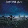 PatternSeeking-Animals-5703-Vinyl