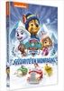 Paw-Patrol-La-Pat-Patrouille-43-Securite-en-montagne-DVD-F