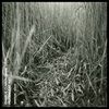 Permanent-Way-5656-Vinyl