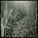 Permanent-Way-5656-Vinyl