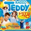 RADIO-TEDDY-HITS-VOL-20-85-CD