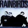 RAINBIRDS-508-CD