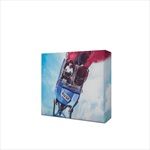 RUSH-LTD-FANBOX-46-CD