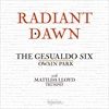 Radiant-Dawn-9-CD