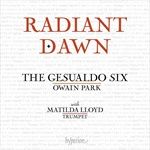 Radiant-Dawn-9-CD
