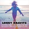Raise-Vibration-Super-Deluxe-3624-Vinyl