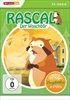 Rascal-der-Waschbaer-Komplettbox-6-DVDs-6478-DVD-D