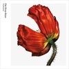 ReleaseFurther-Listening-20012004-41-CD