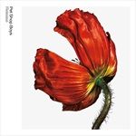 ReleaseFurther-Listening-20012004-41-CD