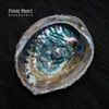 Resurgence-25-CD