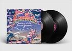 Return-of-the-Dream-Canteen-88-Vinyl