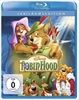 Robin-Hood-504-