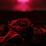 Roses-121-Vinyl