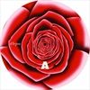 Roses-of-Neurosis-41-Vinyl