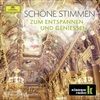 SCHOENE-STIMMENZUM-ENTSPANNEN-UND-GENIESSEN-961-CD
