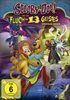 SCOOBYDOO-UND-DER-FLUCH-DES-13-GEISTE-1691-DVD-D