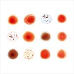 SCRATCH-MY-BACK-85-CD