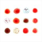 SCRATCH-MY-BACK-AND-ILL-SCRATCH-YOURS-2CD-6379-CD