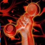 SECRET-WORLD-LIVE-4344-CD