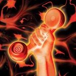 SECRET-WORLD-LIVE-VINYL-5230-Vinyl