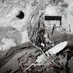 SECRETS-OF-THE-BEEHIVE-REMASTERED-LP-882-Vinyl