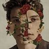 SHAWN-MENDES-VINYL-875-Vinyl